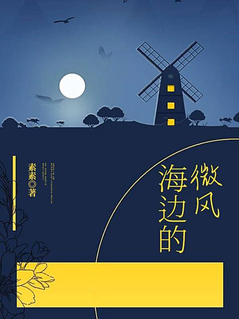 海边的微风